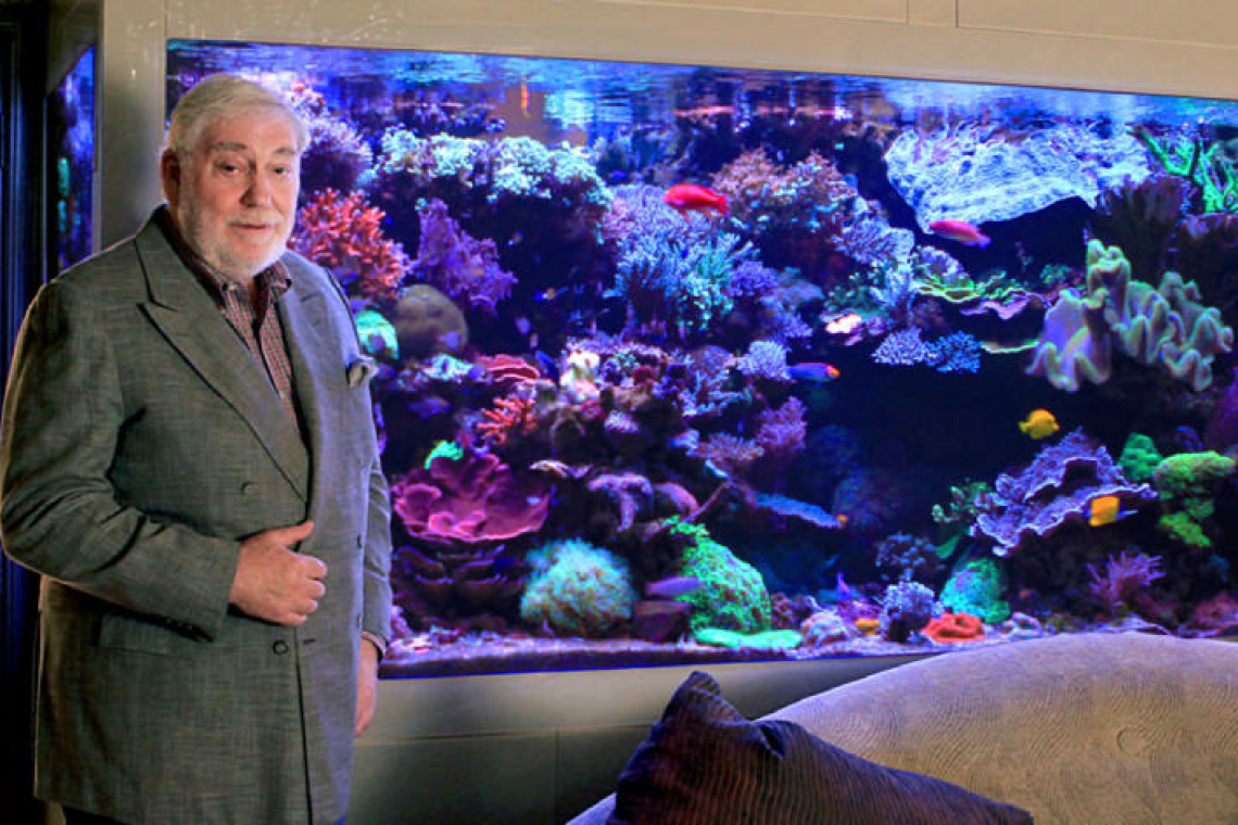 Acuario de David Saxby