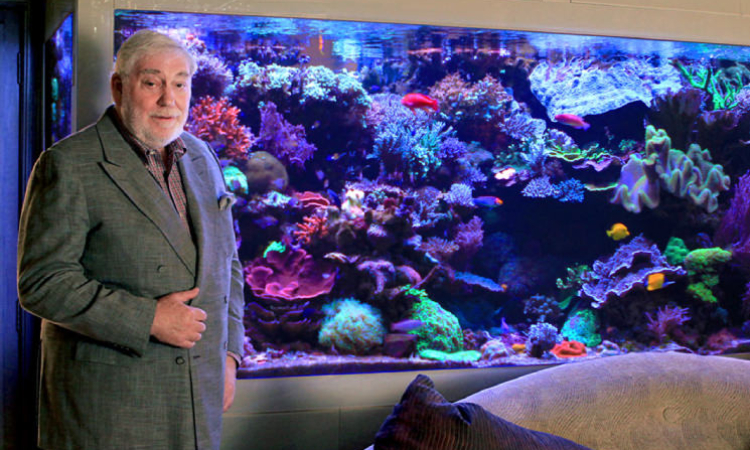 Acuario de David Saxby