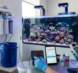 Calculadora para cambio de agua, rebajar nitrito o nitrato