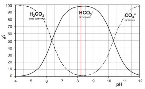 ph carbonato bicarbonato y acido carbónico