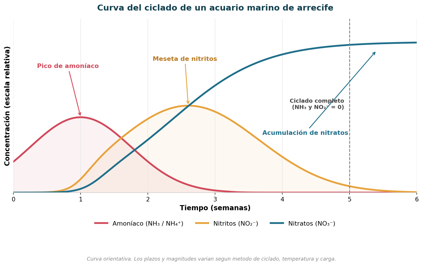 curva ciclado acuario marino